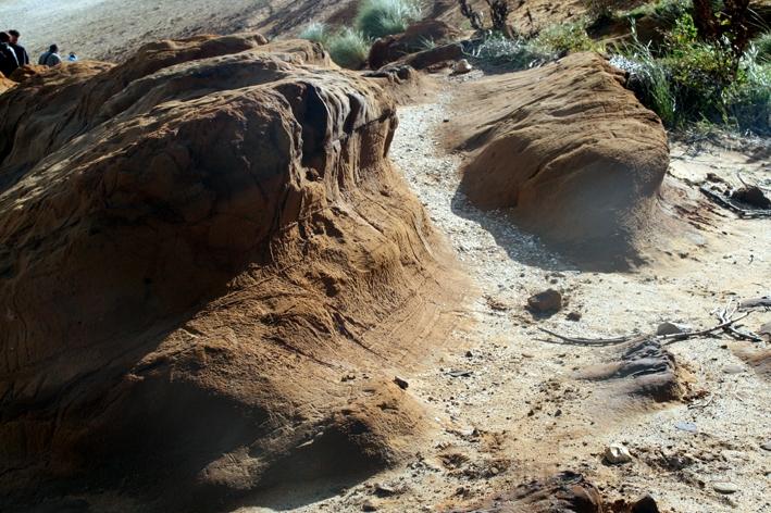 Morsum Kliff 18.jpg - Am Morsum Kliff